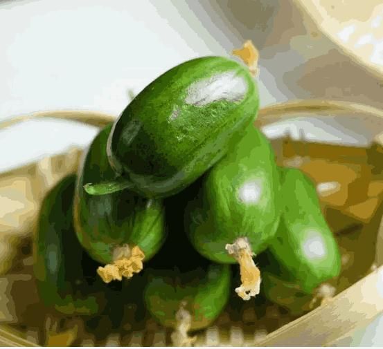 Golden Boy Lady Cucumber seed