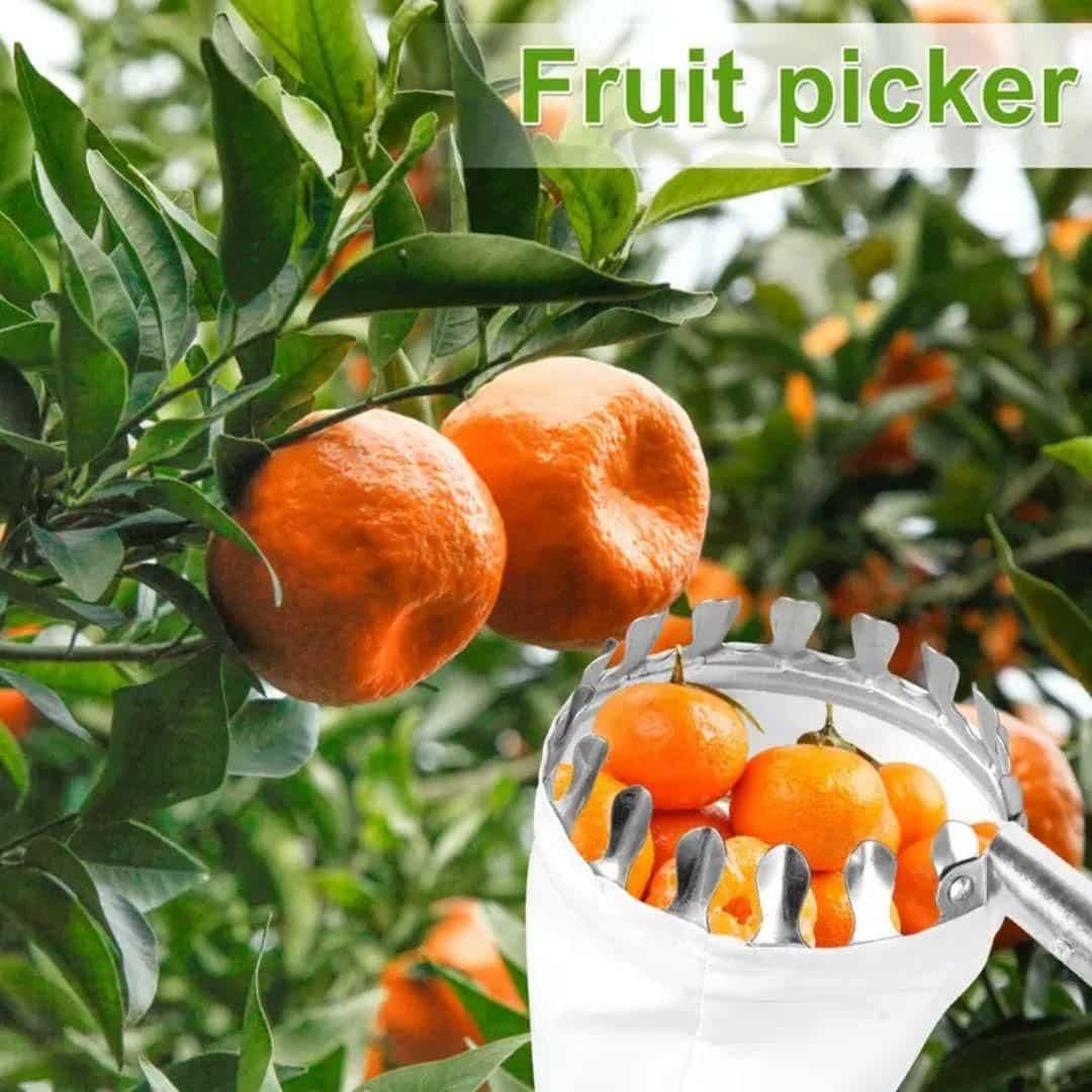 Fruit Picker
