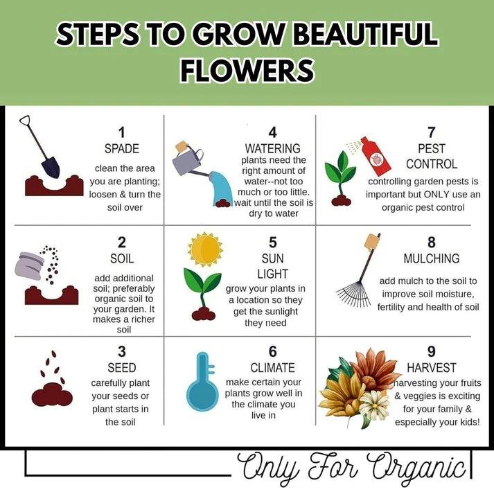 Varieties of Flower Seeds - Plant Supplement Free