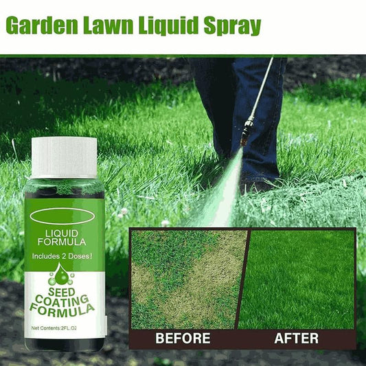 🌱 Four Seasons Evergreen Dwarf Grass Seed (pack of 2)
